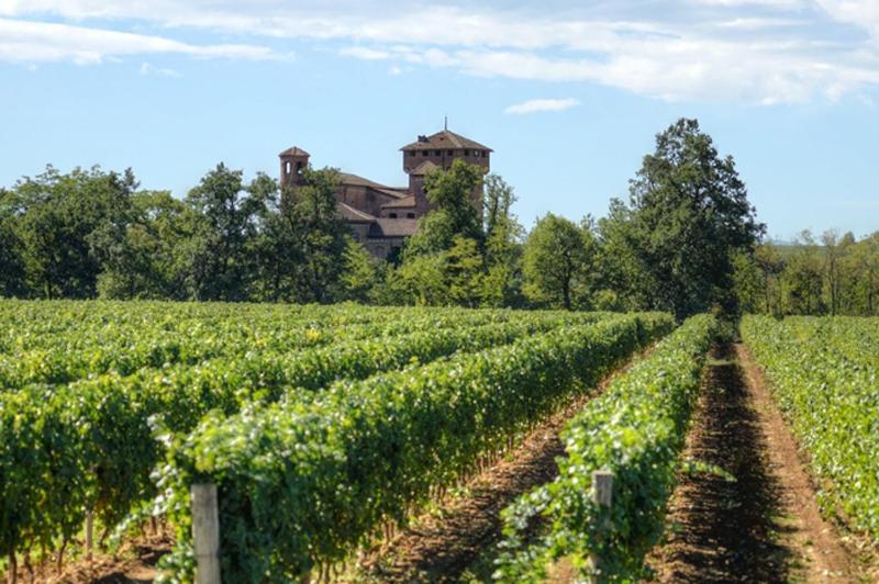 B&B Le Strade del GAVI Francavilla Bisio Exterior foto
